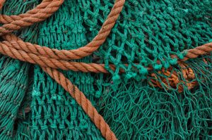 Fisherman's net Taylor Hampton Solicitors assists with skilled shortage visas
