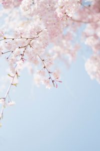 Taylor Hampton Solicitors Spring update
