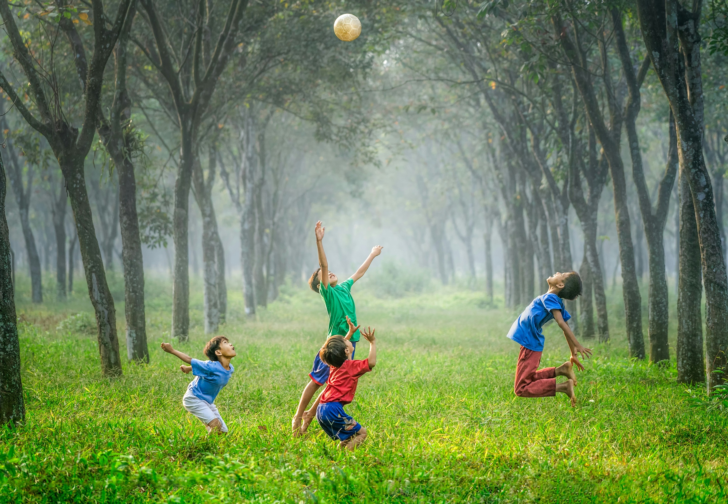 child applications under appendix fm